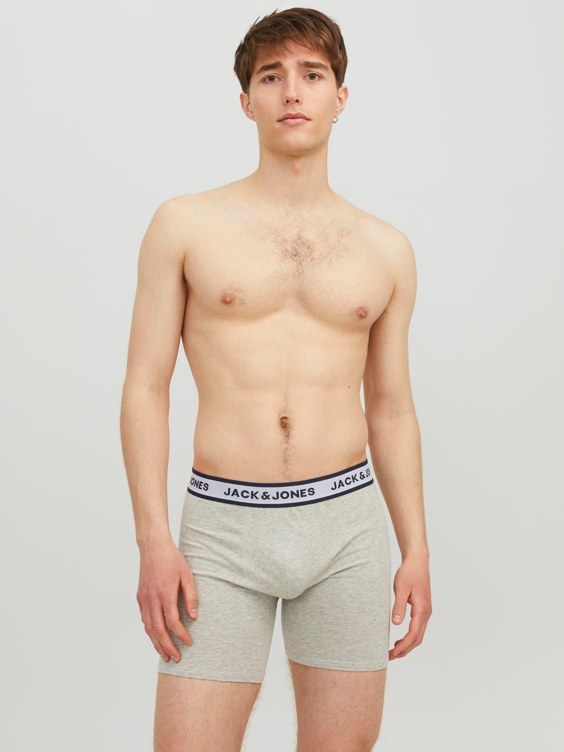 Rogers Underwear Three-Pack Modal Briefs Grey Band