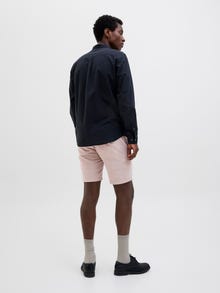 Jack & Jones Short chino Regular Fit -Morel - 12229629
