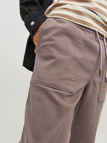 Jack & Jones Regular Fit Cargo trousers -Falcon - 12229712