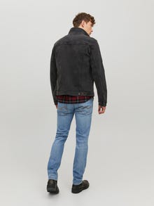 Jack & Jones JJITIM JJDAVIS JJ 074 NOOS Priglundantys tiesūs džinsai -Blue Denim - 12229815