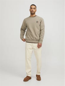 Jack & Jones RDD Logotyp Crewneck tröja -Greige - 12230356