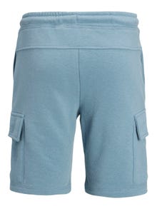 Jack & Jones Regular Fit Sweat shorts For boys -Mountain Spring - 12230712
