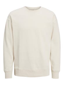 Jack & Jones Printed Crew neck Sweatshirt For boys -Moonbeam - 12230929