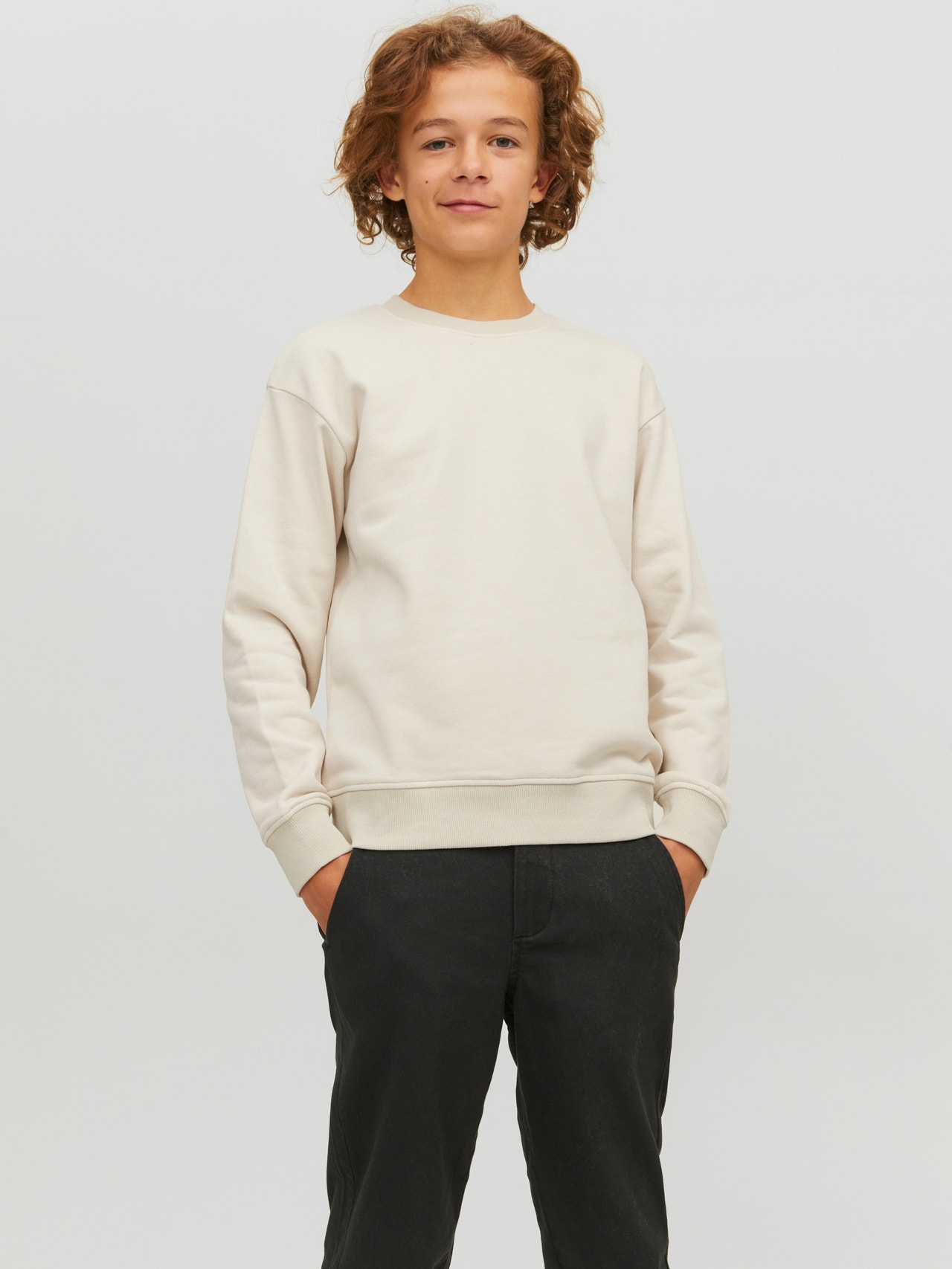 Jack & Jones Printed Crew neck Sweatshirt For boys -Moonbeam - 12230929