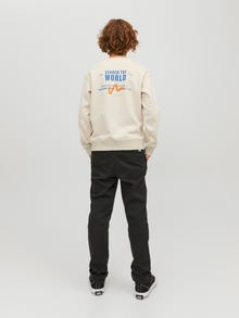 Jack & Jones Printed Crew neck Sweatshirt For boys -Moonbeam - 12230929