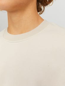 Jack & Jones Printed Crew neck Sweatshirt For boys -Moonbeam - 12230929