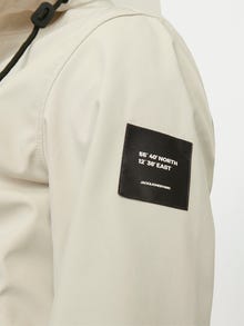 Jack & Jones Lekko ocieplana kurtka -Moonbeam - 12232354