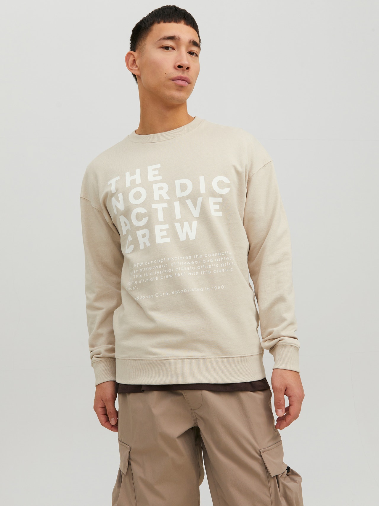 Jack & Jones Printed Crew neck Sweatshirt -Moonbeam - 12233593