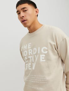 Jack & Jones Printed Crew neck Sweatshirt -Moonbeam - 12233593