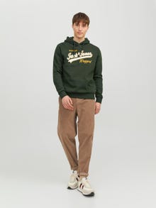 Jack & Jones Logo Hoodie -Mountain View - 12233597