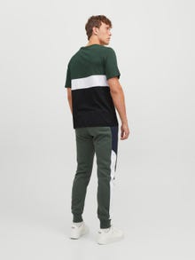 Jack & Jones Barevný blok Kruhový výstřih Tričko -Mountain View - 12233961