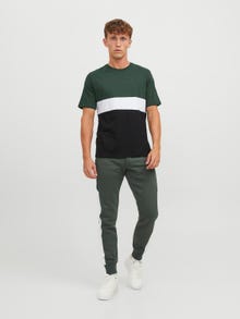 Jack & Jones Barevný blok Kruhový výstřih Tričko -Mountain View - 12233961