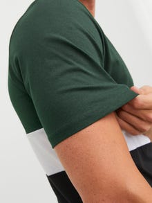 Jack & Jones μπλουζάκι -Mountain View - 12233961