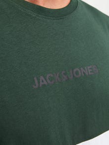 Jack & Jones μπλουζάκι -Mountain View - 12233961