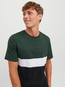 Jack & Jones T-shirt Effet colour block Col rond -Mountain View - 12233961