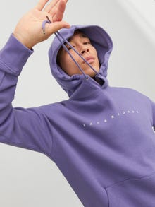 Jack & Jones Logo Hoodie -Twilight Purple - 12233972