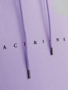 Jack & Jones Logo Kapuzenpullover -Purple Rose - 12233972