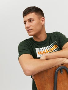 Jack & Jones Logo Kruhový výstřih Tričko -Mountain View - 12233999