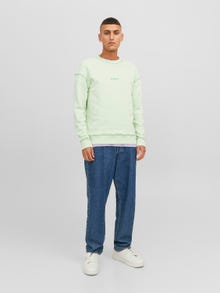 Jack & Jones Logo Sweatshirt med rund hals -Spray - 12234185