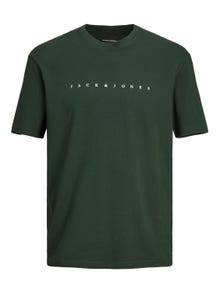 Jack & Jones T-shirt Logo Col rond -Mountain View - 12234746