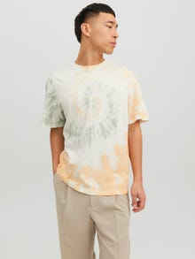 Jack & Jones Colour gradiant Crew neck T-shirt -White - 12235152