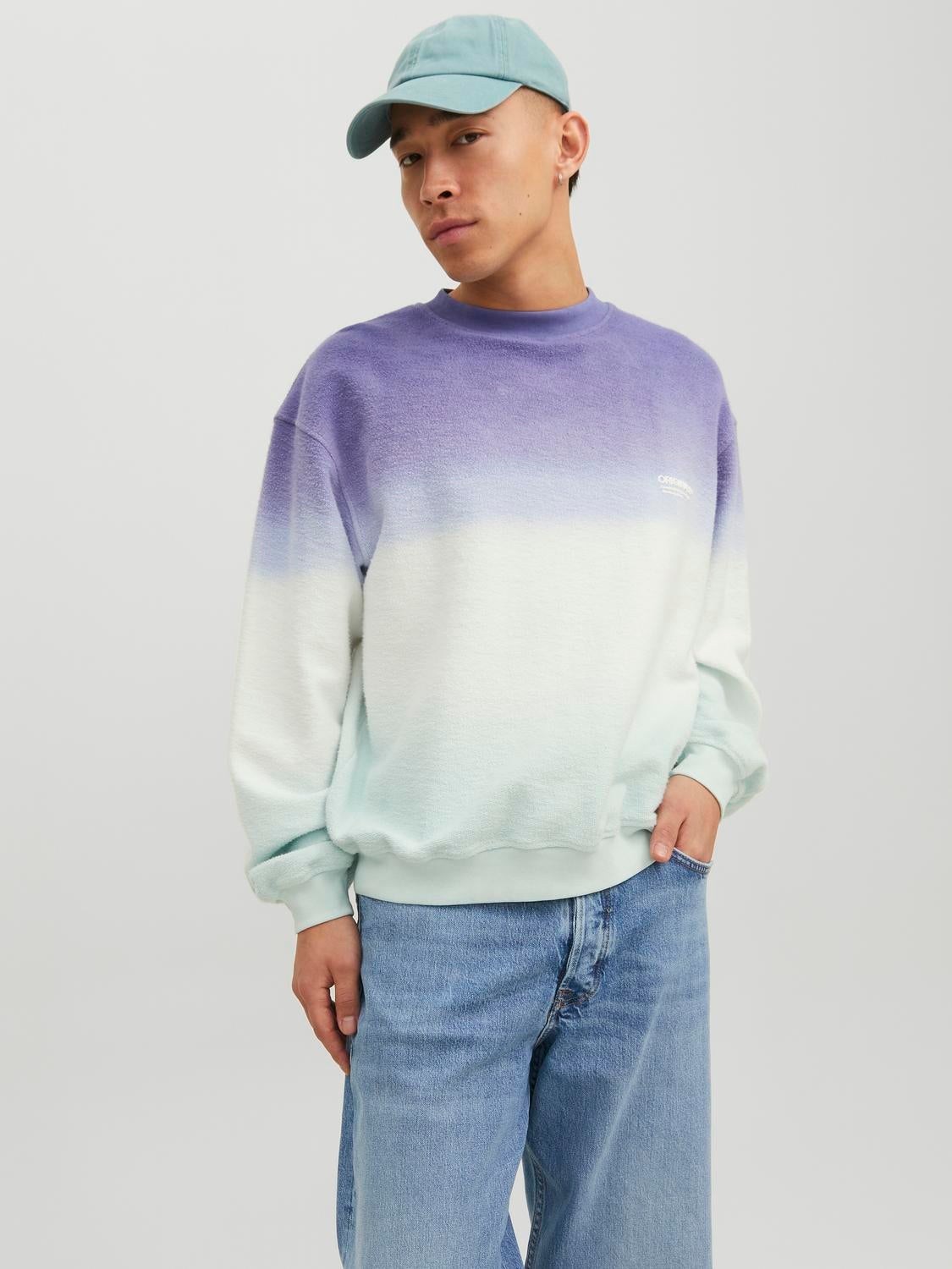 Hollister crew hot sale neck sweatshirt