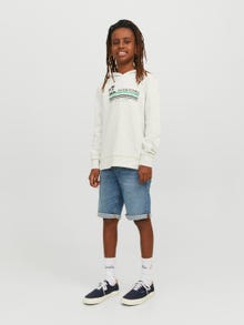 Jack & Jones Logo Hoodie Voor jongens -White Melange - 12235496