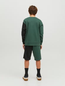 Jack & Jones Colour block Crew neck Sweatshirt For boys -Trekking Green - 12235688