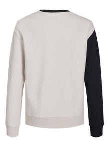 Jack & Jones Colour block Crew neck Sweatshirt For boys -Tap Shoe - 12235688