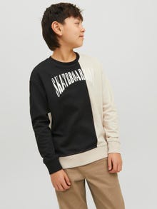 Jack & Jones Colour block Crew neck Sweatshirt For boys -Tap Shoe - 12235688