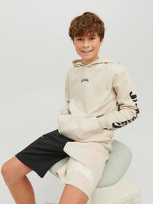 Jack & Jones Gedrukt Hoodie Voor jongens -Moonbeam - 12235690