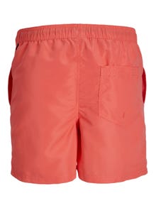 Jack & Jones Plus Size Regular Fit Swim shorts -Hot Coral - 12235757