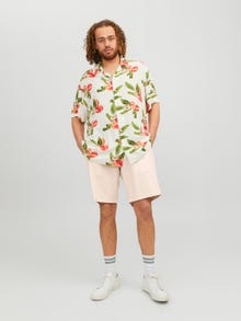 Jack & Jones Plus Regular Fit Šortky Chino -Moon Beam - 12235793