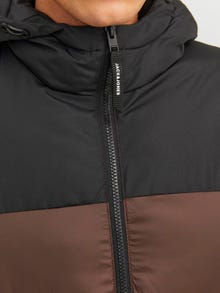Jack & Jones Puffer jacket -Seal Brown - 12235859