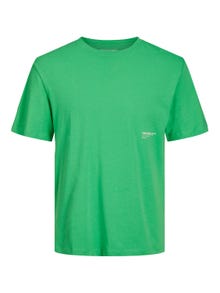 Jack & Jones T-shirt Imprimé Col rond -Island Green - 12235880