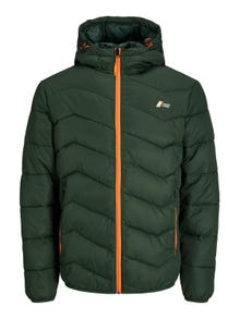 Jack & Jones Puffer jacket -Mountain View - 12236055