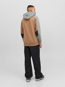 Jack & Jones Felpa con cappuccio Con color block -Otter - 12236153