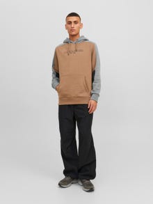 Jack & Jones W bloki kolorystyczne Bluza z kapturem -Otter - 12236153