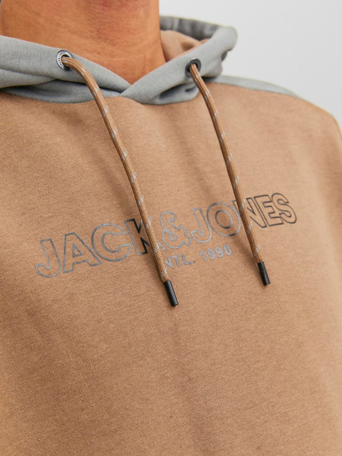 Jack & Jones Barevný blok Mikina s kapucí -Otter - 12236153