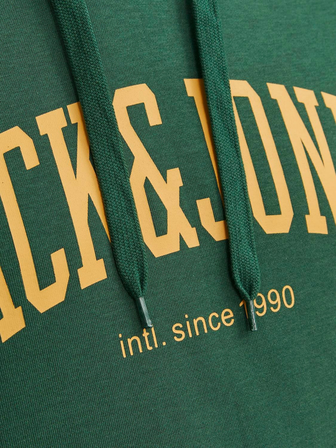 Jack & Jones Logotipas Megztinis su gobtuvu -Dark Green - 12236513