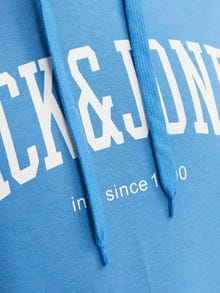 Jack & Jones Logotipas Megztinis su gobtuvu -Pacific Coast - 12236513