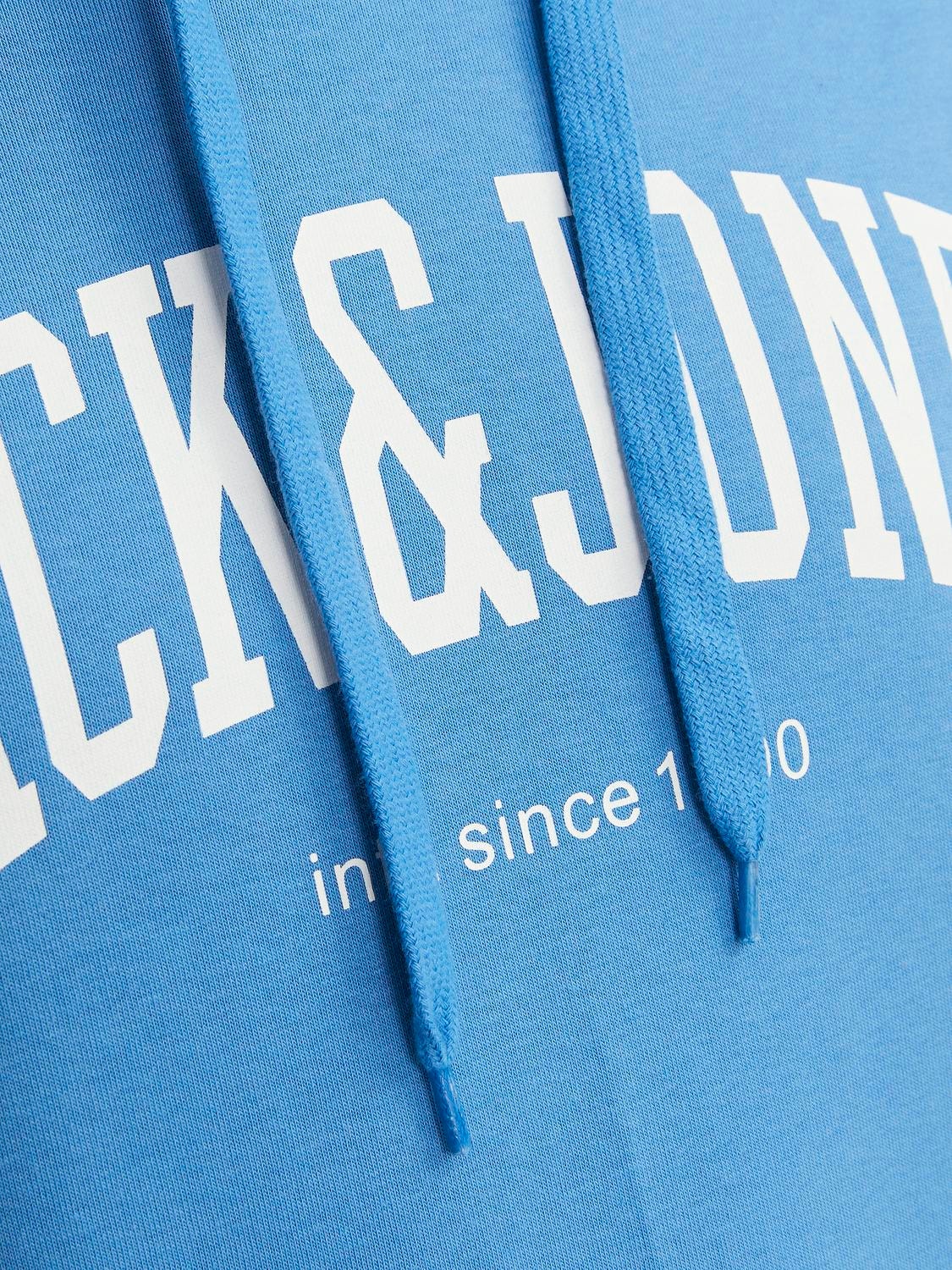 Jack & Jones Logotipas Megztinis su gobtuvu -Pacific Coast - 12236513