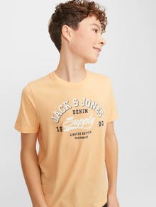 Jack & Jones Trykk T-skjorte For gutter -Apricot Ice  - 12237367