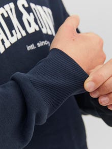 Jack & Jones Logotipas Megztinis su gobtuvu For boys -Navy Blazer - 12237401