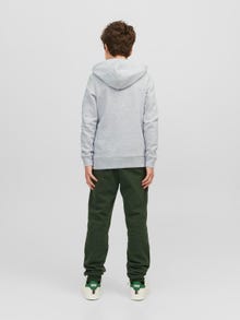 Jack & Jones Logo Mikina s kapucí Junior -White Melange - 12237401