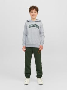 Jack & Jones Logo Hoodie For boys -White Melange - 12237401