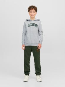 Jack & Jones Logotipas Megztinis su gobtuvu For boys -White Melange - 12237401