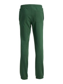 Jack & Jones Spodnie dresowe Dla chłopców -Dark Green - 12237403