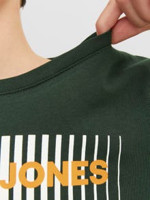 Jack & Jones Logo T-shirt Til drenge -Mountain View - 12237411