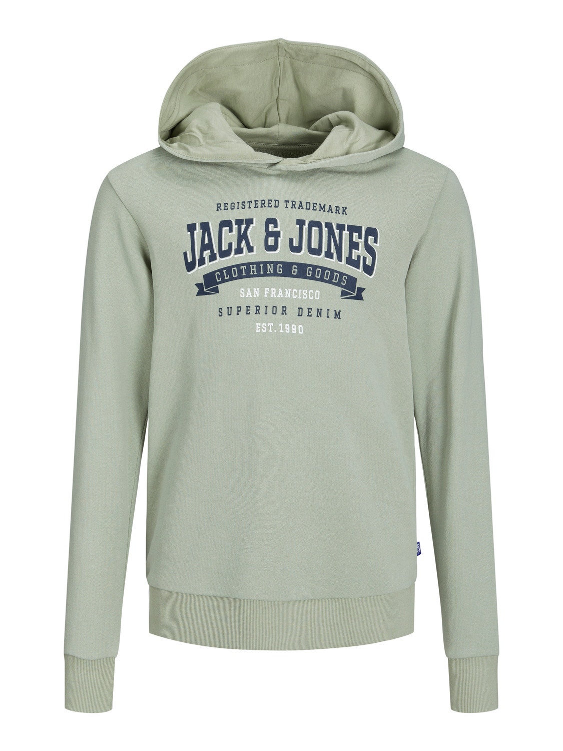 Jack & Jones Printed Hoodie For boys -Desert Sage - 12237420